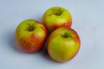 South Africa Pink Lady Red Apple – Piece